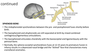 POST NATAL DEVELOPMENT OF CRANIUM AND FACE.pptx