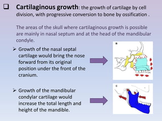 Cartilaginous growth: the growth of cartilage by cell
     division, with progressive conversion to bone by ossification .

     The areas of the skull where cartilaginous growth is possible
     are mainly in nasal septum and at the head of the mandibular
     condyle.
    Growth of the nasal septal
     cartilage would bring the nose
     forward from its original
     position under the front of the
     cranium.

    Growth of the mandibular
     condylar cartilage would
     increase the total length and
     height of the mandible.
 