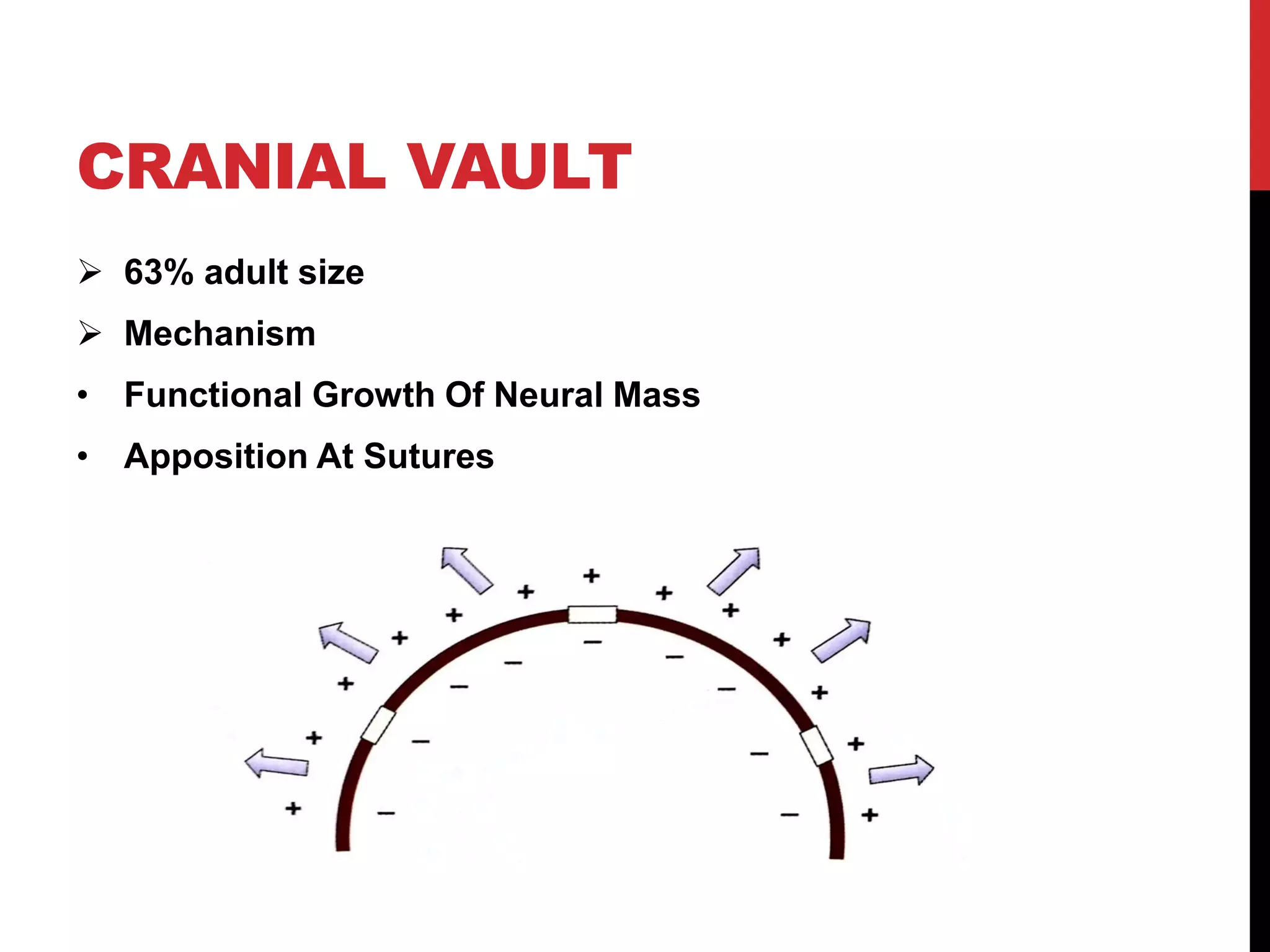 Postnatal growth of cranio facial structures | PDF