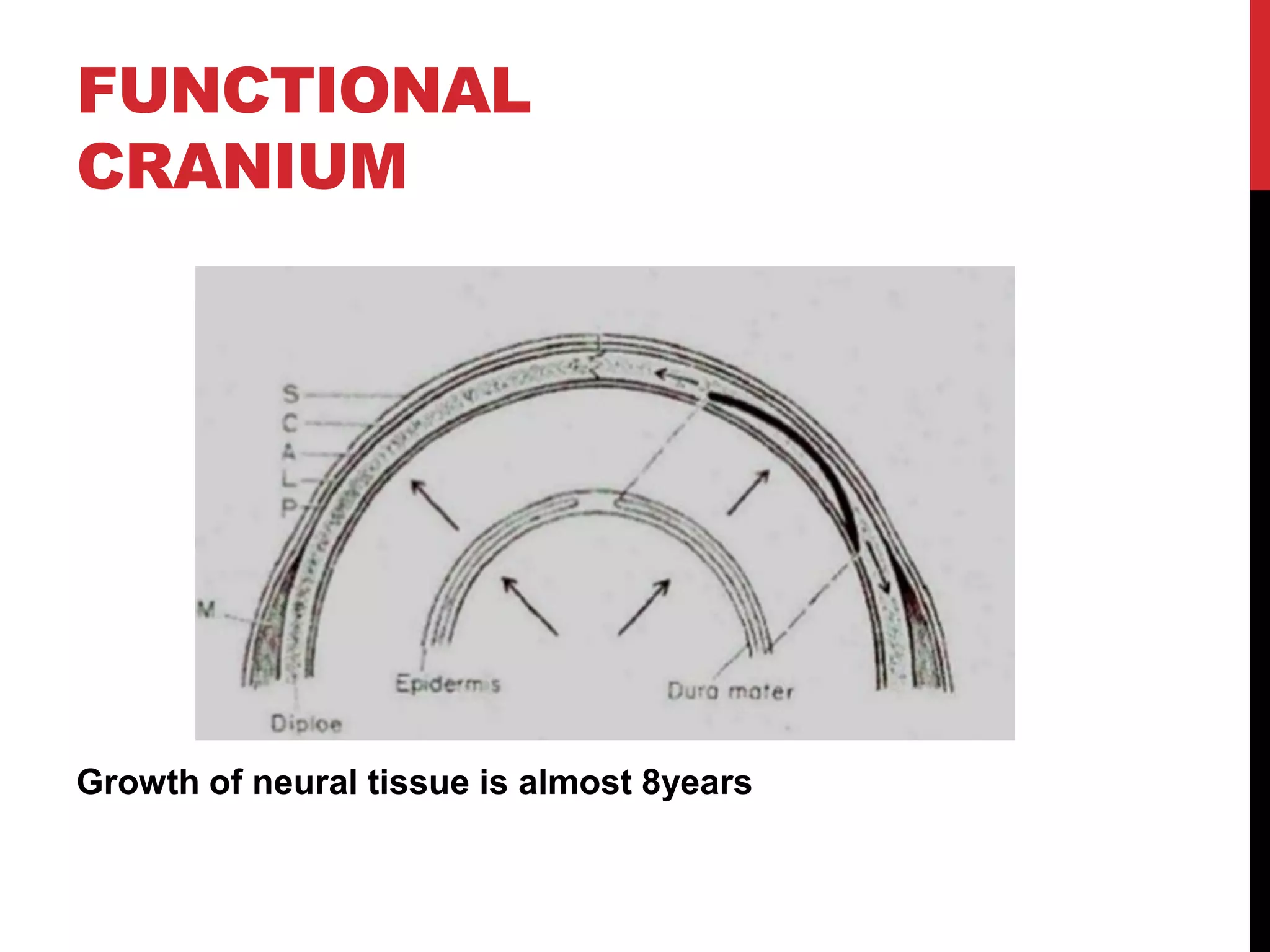 Postnatal growth of cranio facial structures | PDF