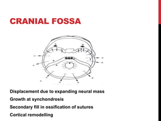 Postnatal growth of cranio facial structures | PDF