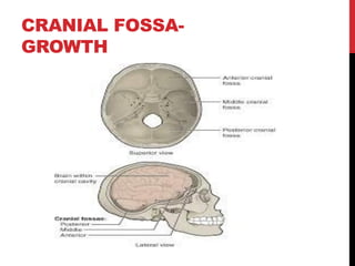 Postnatal growth of cranio facial structures | PDF