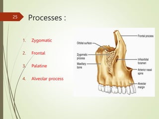 POST NATAL GROWTH OF MAXILLA AND MANDIBLE.pptx