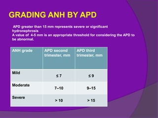Postnatal mangement of anh (2) | PPTX