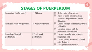 STAGES OF PUERPERIUM
Immediate (1st 24 hours) 1st
24 hours  Reduce size of the uterus.
 Helps to expel any remaining
Placental fragments and reduce.
Bleeding.
Early (1st week postpartum) 1st
week postpartum  Lochia changes from red to pinkish/
yellowish.
 Lactation begins with the
production of colostrum.
Late (2nd-6th week
postpartum)
2nd
– 6th
week
postpartum
 Uterus gradually returns to pre-
pregnancy size.
 Lochia ceased by around 3rd
week
after delivery.
 Milk production stabilize.
 