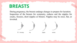 BREASTS
During pregnancy, the breasts undergo changes to prepare for lactation.
Inspection of the breasts for symmetry, redness and the nipples for
cracks, fissures, short nipples or blisters. Nipples may be erect, flat, or
inverted.
 