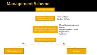 Obstruction Relieved
Instatement of Urine
Collection Instruments
Mental Status Impairment
Edema
Congestive Heart Failure
Hypertension
Azotemia
Folley Catheter
Condom Catheter
Assess Hydration status and
Post-Obstructive Diuresis Risk
Post Obstructive Diuresis
POD Management Discharge
Yes No
 
