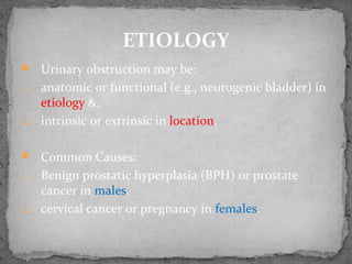  Urinary obstruction may be:
1. anatomic or functional (e.g., neurogenic bladder) in
etiology &,
2. intrinsic or extrinsic in location.
 Common Causes:
1. Benign prostatic hyperplasia (BPH) or prostate
cancer in males.
2. cervical cancer or pregnancy in females.
ETIOLOGY
 
