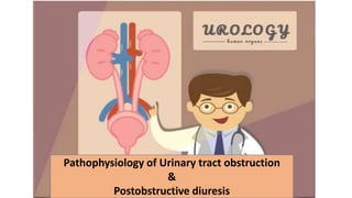 Pathophysiology of Urinary tract obstruction
&
Postobstructive diuresis
 