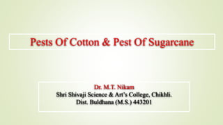 Pests Of Cotton & Pest Of Sugarcane
Dr. M.T. Nikam
Shri Shivaji Science & Art’s College, Chikhli.
Dist. Buldhana (M.S.) 443201
 