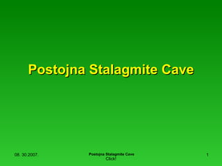 Postojna Stalagmite Cave 