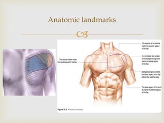 Anatomic landmarks 
 
 