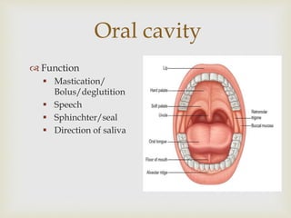 Oral cavity 
 Function 
 Mastication/ 
Bolus/deglutition 
 Speech 
 Sphinchter/seal 
 Direction of saliva 
 