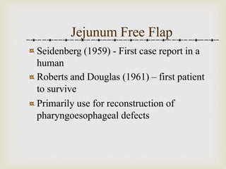 Jejunum Free Flap 
Seidenberg (1959) - First case report in a 
human 
Roberts and Douglas (1961) – first patient 
to survive 
Primarily use for reconstruction of 
pharyngoesophageal defects 
 