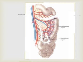 --·--- t - - - - .- - 
 