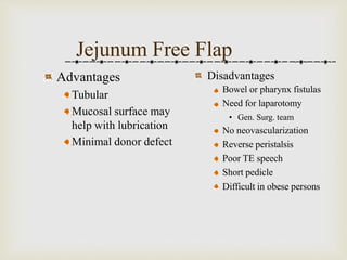 Jejunum Free Flap 
Advantages 
Tubular 
Mucosal surface may 
help with lubrication 
Minimal donor defect 
Disadvantages 
Bowel or pharynx fistulas 
Need for laparotomy 
• Gen. Surg. team 
No neovascularization 
Reverse peristalsis 
Poor TE speech 
Short pedicle 
Difficult in obese persons 
 