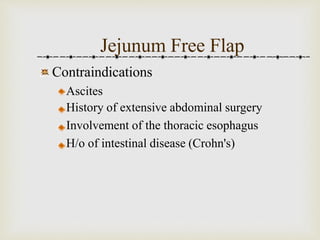 Jejunum Free Flap 
Contraindications 
Ascites 
History of extensive abdominal surgery 
Involvement of the thoracic esophagus 
H/o of intestinal disease (Crohn's) 
 
