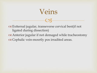 Veins 
 
 Extternal jugular, transeverse cervical best(if not 
ligated during dissection) 
 Anterior jugular if not demaged while tracheostomy 
 Cephalic vein-mosrtly pos irradited areas. 
 