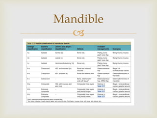 Mandible 
 
 