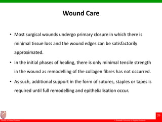 © Ramaiah University of Applied Sciences
20
Faculty of Dental Sciences
Wound Care
• Most surgical wounds undergo primary closure in which there is
minimal tissue loss and the wound edges can be satisfactorily
approximated.
• In the initial phases of healing, there is only minimal tensile strength
in the wound as remodelling of the collagen fibres has not occurred.
• As such, additional support in the form of sutures, staples or tapes is
required until full remodelling and epithelialisation occur.
 