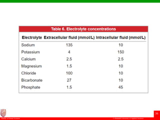 © Ramaiah University of Applied Sciences
36
Faculty of Dental Sciences
 