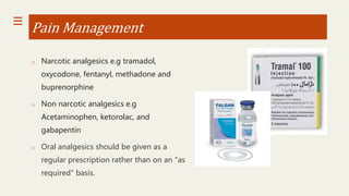 is gabapentin a narcotic analgesic