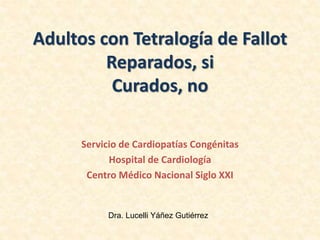 Dra. Lucelli Yáñez Gutiérrez
Adultos con Tetralogía de Fallot
Reparados, si
Curados, no
Servicio de Cardiopatías Congénitas
Hospital de Cardiología
Centro Médico Nacional Siglo XXI
 