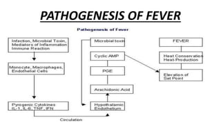 Post operative fever | PPTX