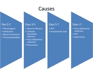 Causes
Day 0-2
• Physiological
• Atelectasis
• Blood transfusion
• Thrombophlebitis
Days 3-5
• Wound infection
• Catheter
associated
infection
• Intra-abdominal
collection
• Pneumonia
Days 5-7
• DVT
• Anastamotic leak
Days >7
• Intra-abdominal
collection
• DVT
• Septicemia
 
