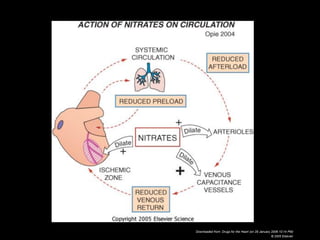 Post Operative Management