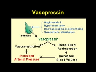 Post Operative Management