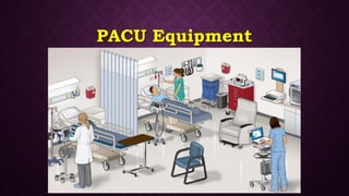 Post operative management | PDF