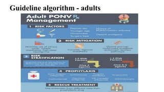 Guideline algorithm - adults
 