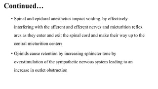 Continued…
• Spinal and epidural anesthetics impact voiding by effectively
interfering with the afferent and efferent nerves and micturition reflex
arcs as they enter and exit the spinal cord and make their way up to the
central micturition centers
• Opioids cause retention by increasing sphincter tone by
overstimulation of the sympathetic nervous system leading to an
increase in outlet obstruction
 