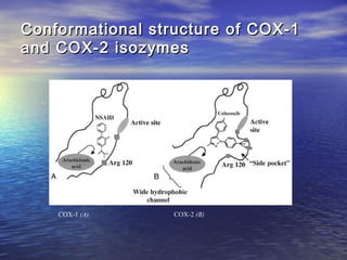Conformational structure of COX-1
and COX-2 isozymes

COX-1 (A)

COX-2 (B)

 