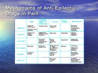 Mechanisms of Anti-Epileptic
Drugs in Pain

 