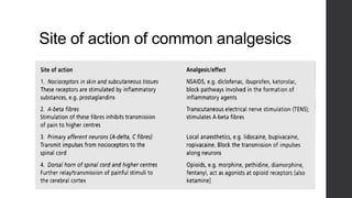 Site of action of common analgesics
 