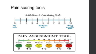Pain scoring tools
 