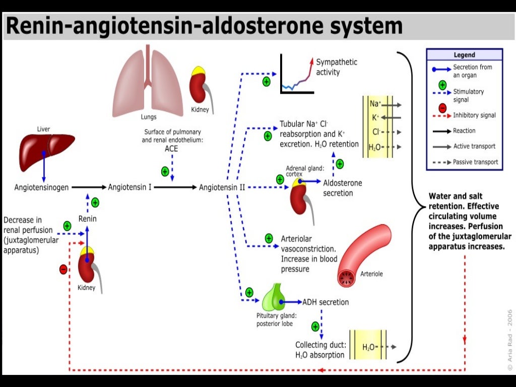 Post op fluid ppt.