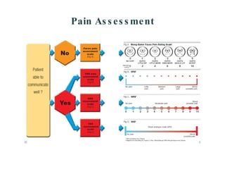 Pain   Assessment 