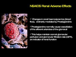 NSAIDS Renal Adverse Effects Changes in renal haemodynamics (blood flow),  ordinarily mediated by Prostaglandins Prostaglandins normally cause vasodilation of the afferent arterioles of the glomeruli This helps maintain normal glomerular perfusion and glomerular filtration rate (GFR), an indicator of renal function 