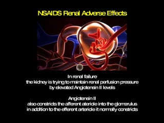 NSAIDS Renal Adverse Effects In renal failure the kidney is trying to maintain renal perfusion pressure by elevated Angiotensin II levels Angiotensin II also constricts the afferent ateriole into the glomerulus in addition to the efferent arteriole it normally constricts 