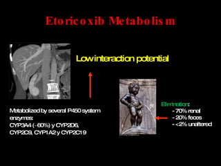 Etoricoxib Metabolism Metabolized by several P450 system enzymes:  CYP3A4 (  60%) y CYP2D6,  CYP2C9, CYP1A2 y CYP2C19 Elimination : - 70% renal  - 20% feces  - <2% unaltered Low interaction potential 