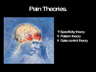 Pain Theories. Pattern theory Gate control theory Specificity theory 