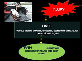 INJURY GATE  Various factors: physical, emotional, cognitive or behavioural open or close the gate PAIN   experienced depending on how far gate open or closed 