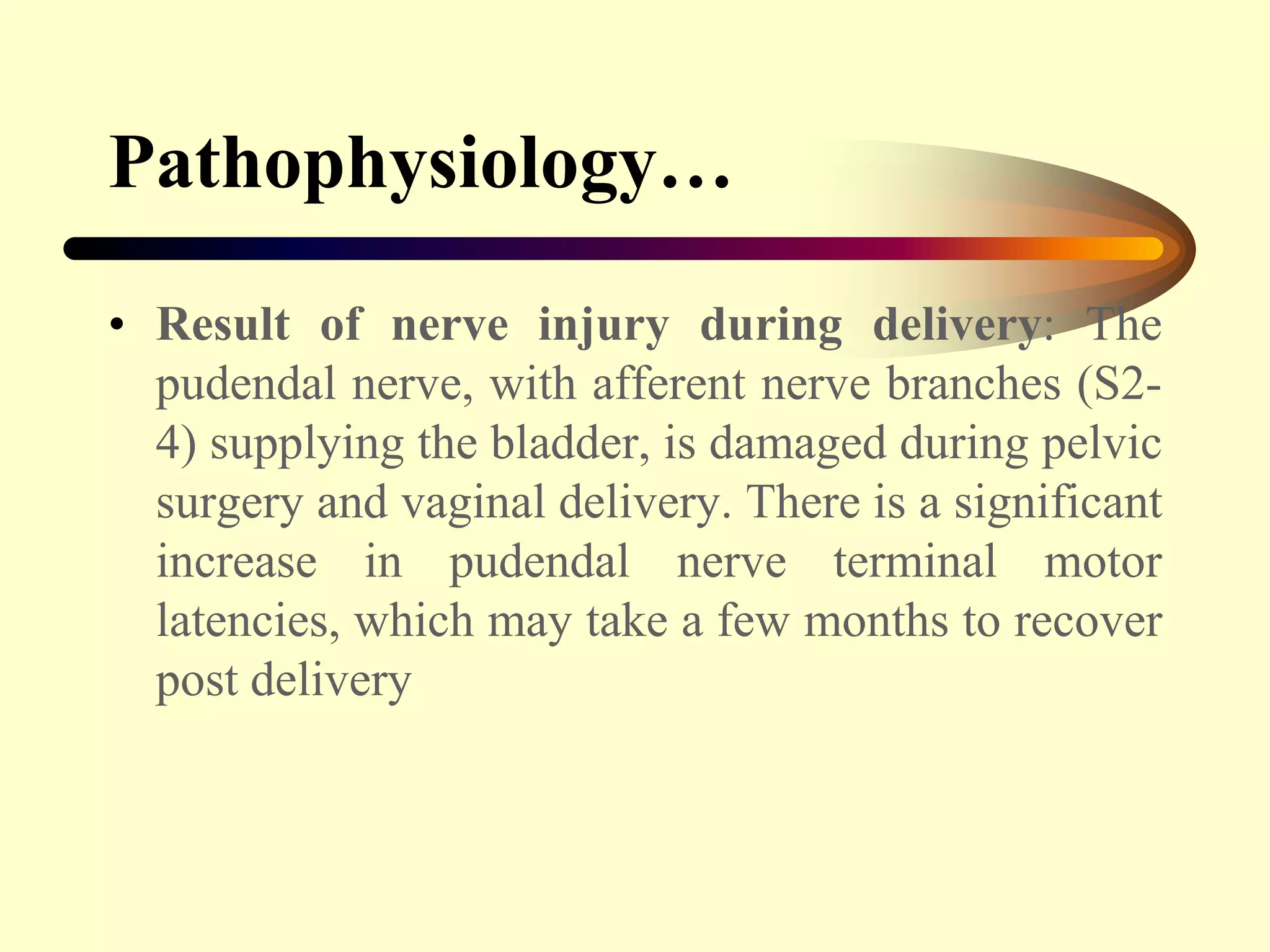 Pathophysiology…
• Result of nerve injury during delivery: The
pudendal nerve, with afferent nerve branches (S2-
4) supplying the bladder, is damaged during pelvic
surgery and vaginal delivery. There is a significant
increase in pudendal nerve terminal motor
latencies, which may take a few months to recover
post delivery
 