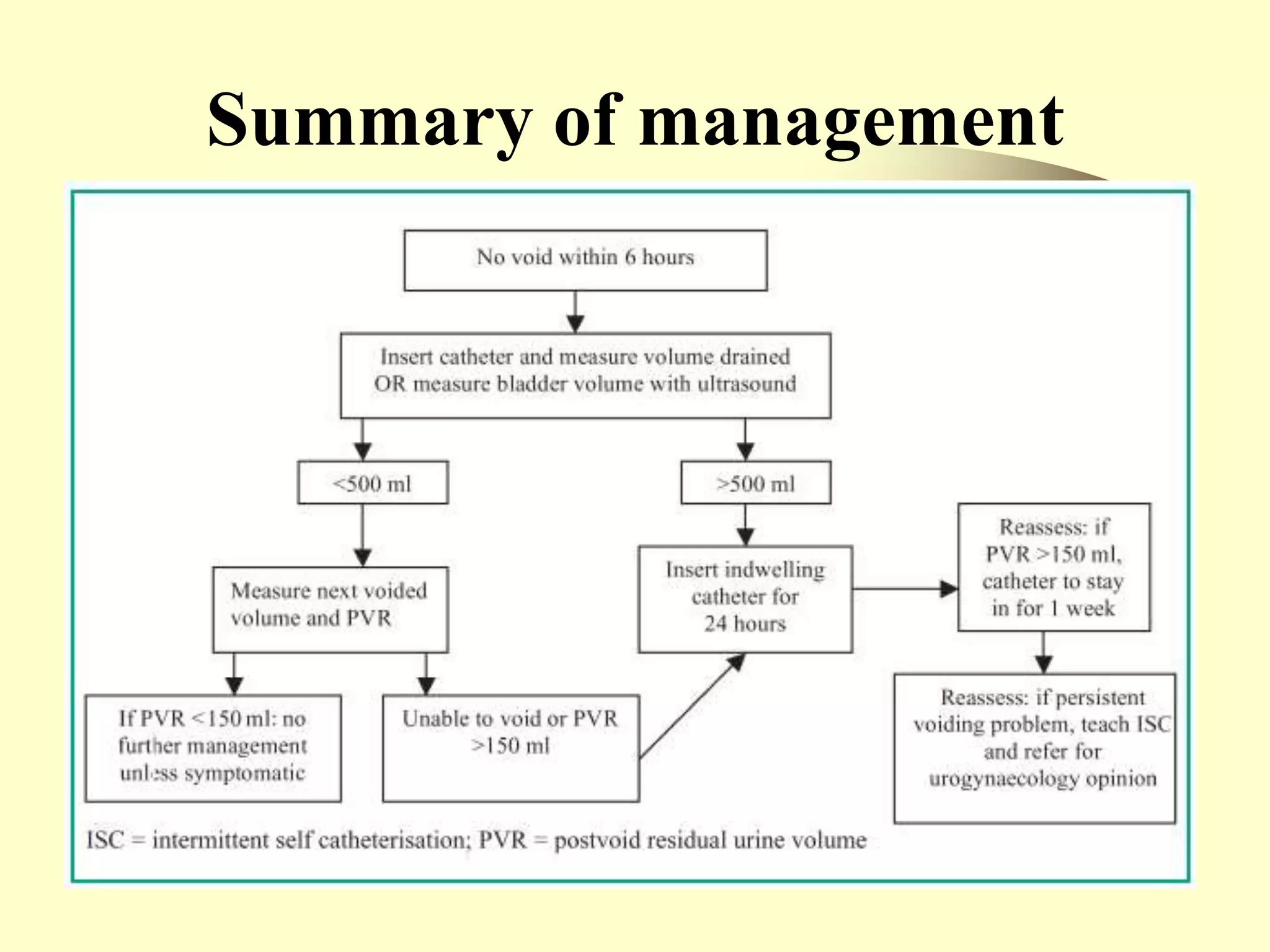 Summary of management
 