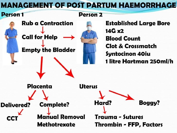 post partum haemorrhage pph Postpartum bleeding or postpartum hemorrhage (pph) is often defined as the loss of more than 500 ml or 1,000 ml of blood within the first 24 hours following childbirth. post partum haemorrhage pph Postpartum bleeding or postpartum hemorrhage (pph) is often defined as the loss of more than 500 ml or 1,000 ml of blood within the first 24 hours following childbirth.