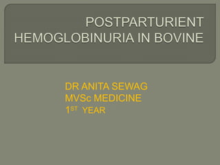 DR ANITA SEWAG
MVSc MEDICINE
1ST YEAR
 