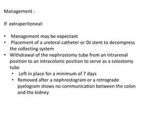 Management :
If extraperitoneal:
• Management may be expectant
• Placement of a ureteral catheter or DJ stent to decompress
the collecting system
• Withdrawal of the nephrostomy tube from an intrarenal
position to an intracolonic position to serve as a colostomy
tube
• Left in place for a minimum of 7 days
• Removed after a nephrostogram or a retrograde
pyelogram shows no communication between the colon
and the kidney
 